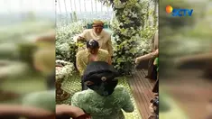 Kahiyang dan Bobby gunakan tujuh mata air dalam upacara siraman di Hotel Alilla, Solo, Jawa Tengah #Liputan6 Siang