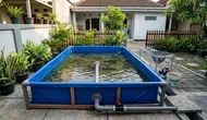 6 Ide Kolam Lele dengan Sistem Pembuangan Air, Bikin Perawatan Lebih Mudah