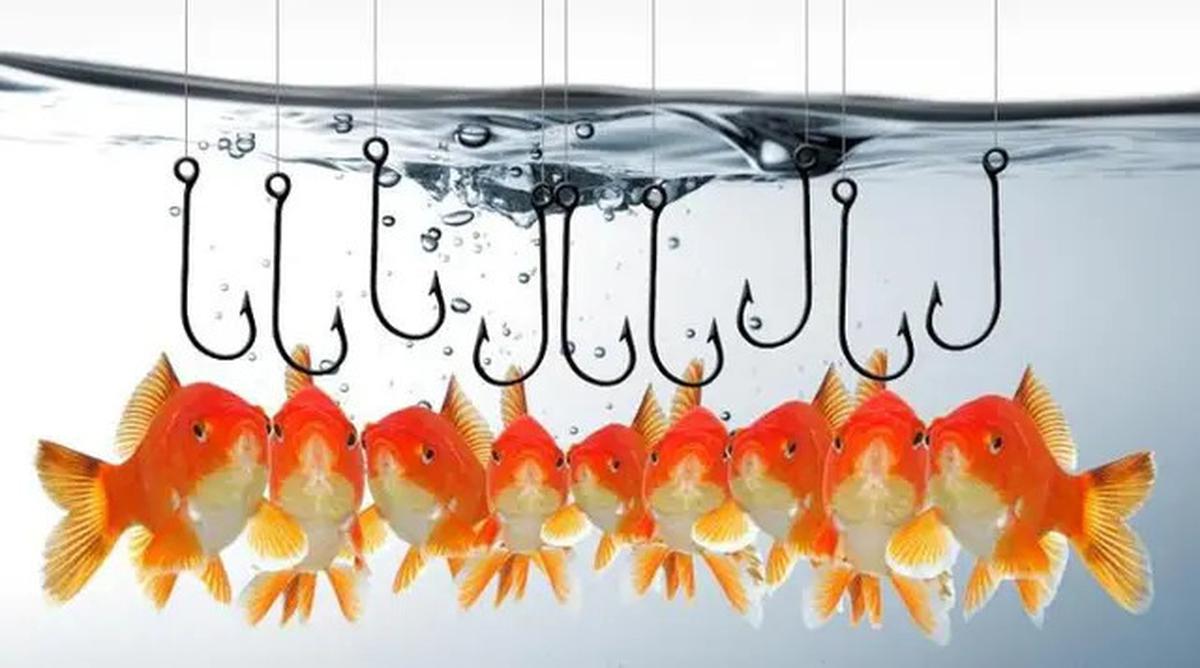 900 Juta Upaya Phishing Ancam Pengguna Internet Dunia Sepanjang 2024