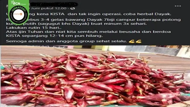 Gambar Tangkapan Layar Klaim Minum Air Rebusan Bawang Dayak Bisa Sembuhkan Kista (sumber: Facebook).