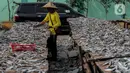 Pekerja saat menjemur ikan di kawasan Kampung Nelayan Muara Angke, Penjaringan, Jakarta Utara, Selasa (29/9/2020). Harganya pun, mahal atau murah tergantung dengan jenis ikan yang dibutuhkan masyarakat. (Liputan6.com/Johan Tallo)