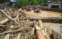 Ungkap Temuan Penting, Ada Bekas Gergaji Mesin di Kayu yang Hanyut Saat Banjir Sumatra