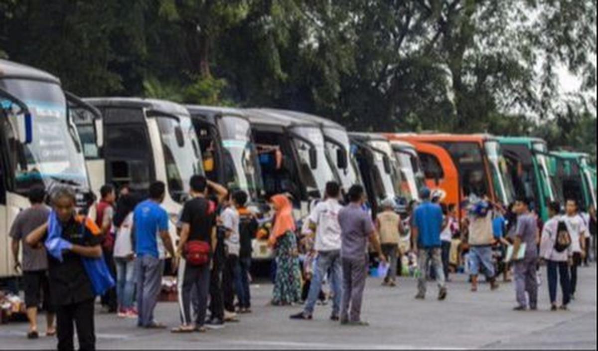 1. Bus