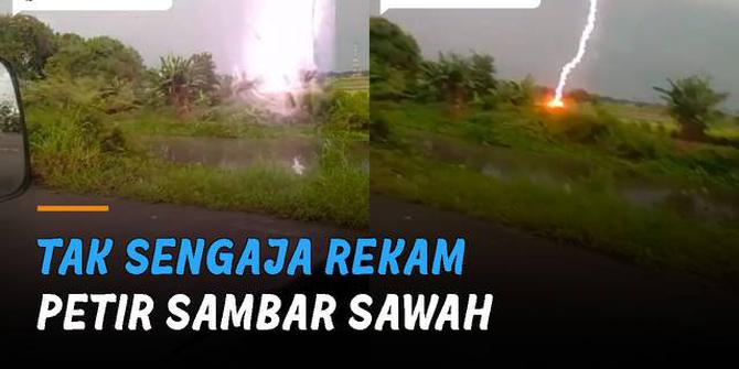 VIDEO: Berhenti di Pinggir Jalan, Lelaki Tak Sengaja Rekam Petir Sambar Sawah