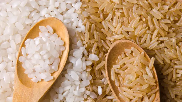 Ilustrasi brown rice