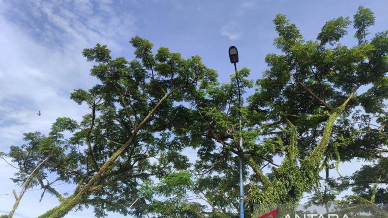 Pemkot Bengkulu Pasang 17 Lampu PJU Pasar Subuh, Tingkatkan Keamanan dan PAD