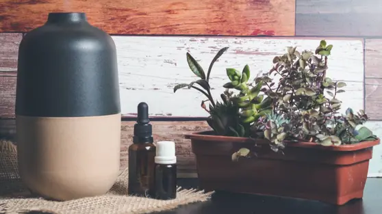 Upgrade Suasana Rumah dengan Diffuser Oil Terbaik yang Wanginya Bikin Betah