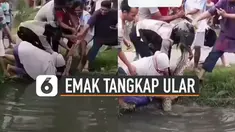 Aksi heroik ditunjukkan oleh seorang emak-emak yang berdiri di depan sendiri saat menangkap ular di selokan.