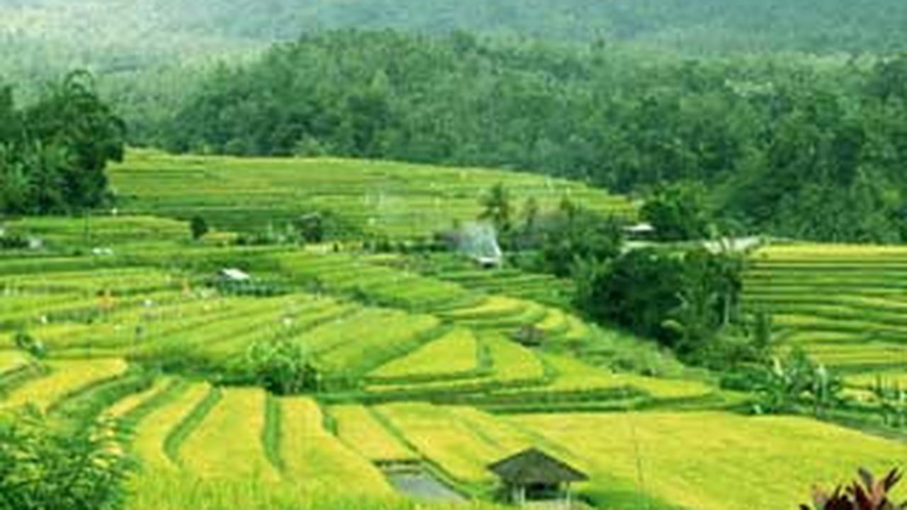 100801ateraseling-bali.jpg