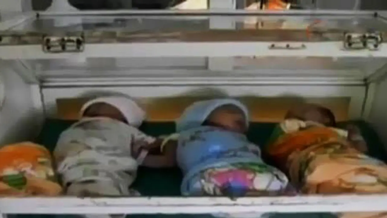 VIDEO: Keunikan Bayi yang Lahir di Tahun Kabisat