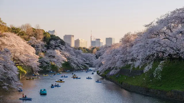 Tokyo, Japan