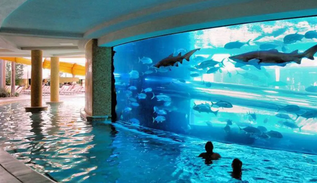  Bagaimana bila anda berenang dengan ditemani hewan - hewan buas yang ada di lautan?. Nah di salah satu Hotel di Las Vegas menyediakan pengalaman tersebut. (shechive.files.wordpress.com)