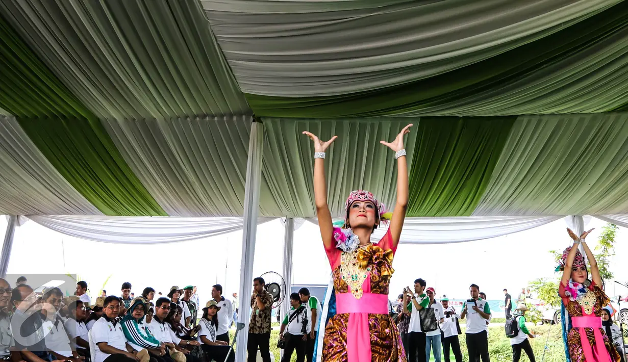 Tarian daerah menyambut pembukaan kegiatan penanaman 300 pohon di Intercharge Subang KM. 109 Tol Cipali, Sabtu (19/3). Penanaman pohon bersama PT. LMS selaku pengelola Tol Cipali telah menanam lebih dari 30 ribu pohon. (Liputan6.com/Fery Pradolo)