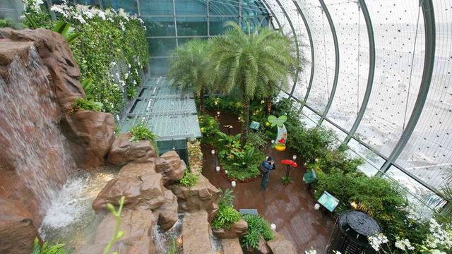 Bikin Kagum, Ini 6 Bandara dengan Interior Paling Megah di Dunia