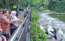 Libur Natal 2025, Pengunjung Taman Margasatwa Ragunan Diprediksi Capai 50 Ribu Orang