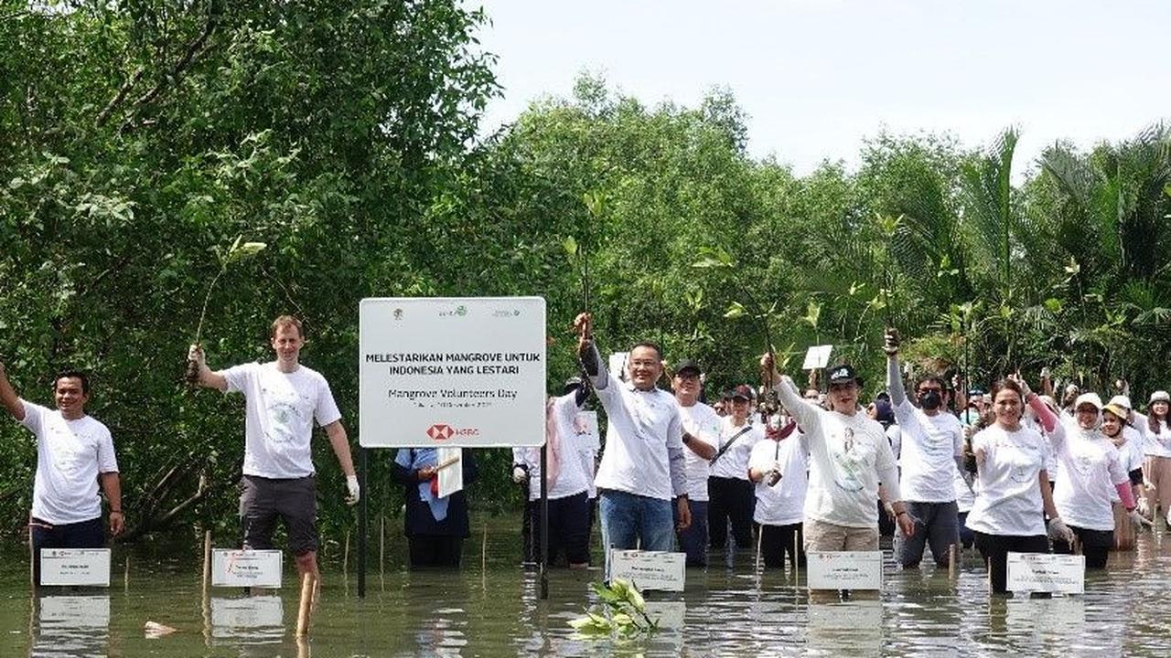 Penanaman mangrove ini turut dihadiri oleh Wakil Direktur I PIP Makassar Captain Irfan Fauzon dan Wakil Direktur II PIP Makassar Captain Octavera. Para petinggi PIP Makassar ini memberikan apresiasi atas kontribusi PIS dalam pelestarian ekosistem mangrove