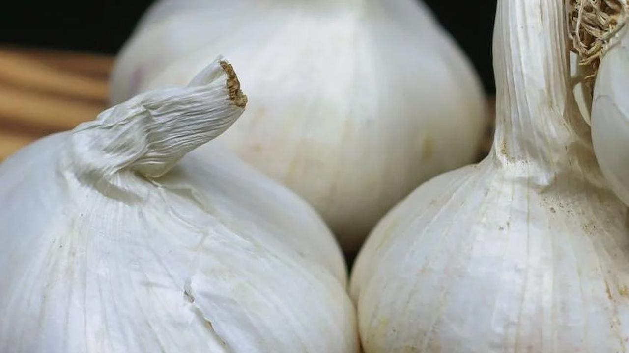 1. Bawang Putih