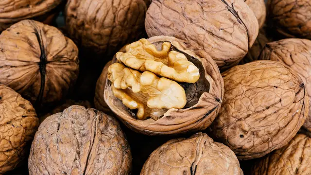 Kacang Kenari