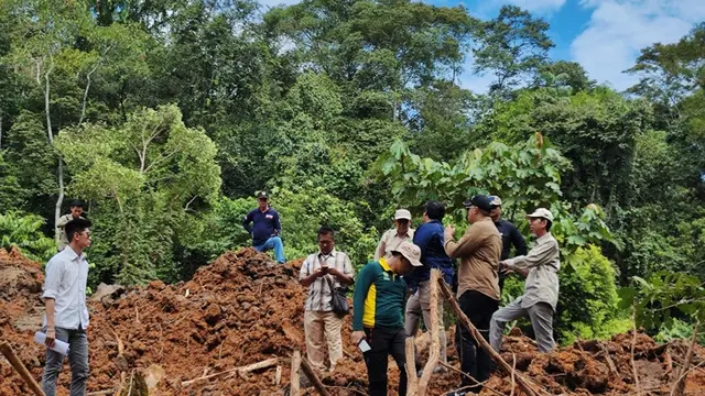 Hutan Pendidikan Unmul Kaltim Mendadak Gundul karena Penambang Batubara Ilegal, Kemenhut Kejar Pelakunya