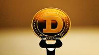 Ilustrasi dogecoin (Photo by Executium on Unsplash)
