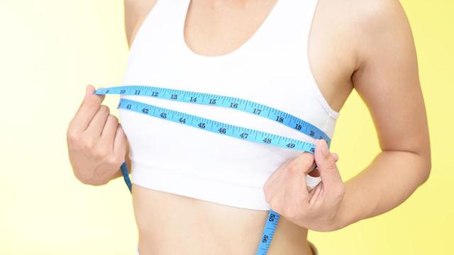 Perbesar Payudara dengan Minyak Bulus, Mitos atau Fakta?