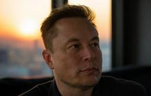 Penjualan Anjlok Parah, Tesla Cari CEO Baru Gantikan Elon Musk