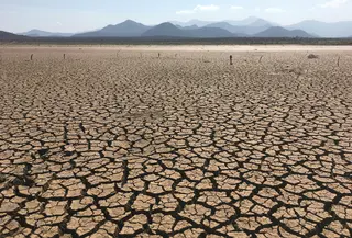 Ilustrasi musim kemarau./copyright pexels.com/kiptoo addi