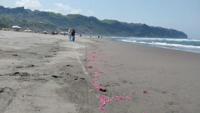 Mitos Larangan Pakai Baju Warna Hijau ke Pantai Parangtritis