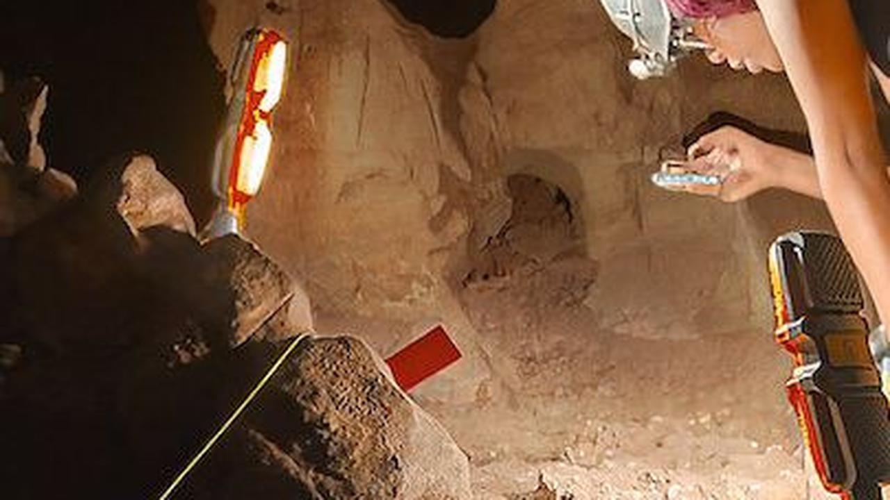 9. Film Dokumenter Netflix tentang Homo Naledi yang Tuai Perdebatan<br>