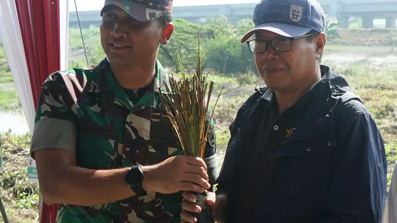 Penanaman Rumput Vetiver di Gresik