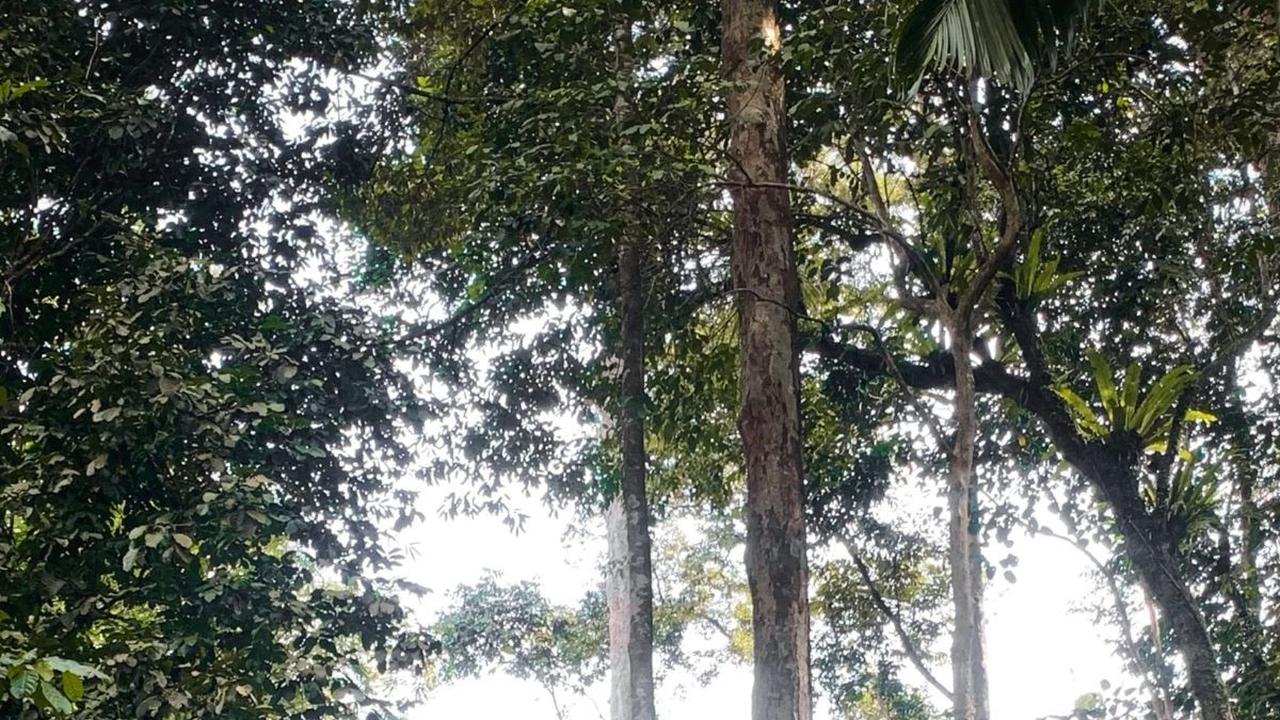 Terapkan Sanksi Adat, Begini Akibatnya Jika Nekat Foto-Foto di Kampung Baduy Dalam