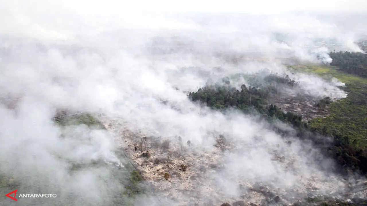 kebakaran-hutan-riau130623a.jpg