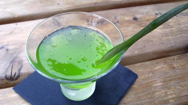 Cara Mudah Membuat Aloe Vera Oil untuk Kecantikan