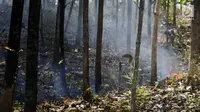 Asap putih mengepul saat api membakar hutan jati di Kecamatan Juwangi Boyolali, Jawa Tengah, Senin (6/8). (Liputan6.com/Gholib)