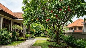12 Pohon Buah yang Membuat Halaman Lebih Privat, Sekaligus Rindang dan Produktif