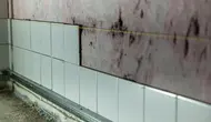 Cara Menghilangkan Jamur di Dinding Kamar Mandi hingga Tuntas