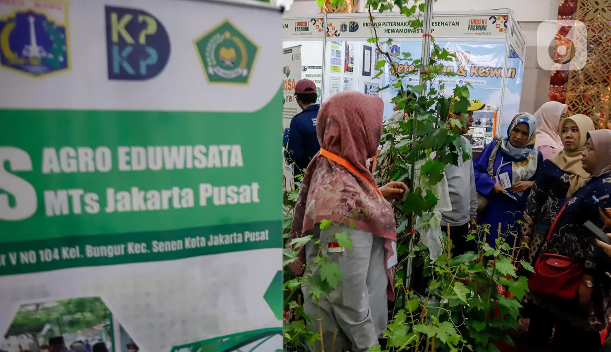 Festival ini berlangsung mulai hingga hari ini, Sabtu 12 Juli 2025. (Liputan6.com/Herman Zakharia)