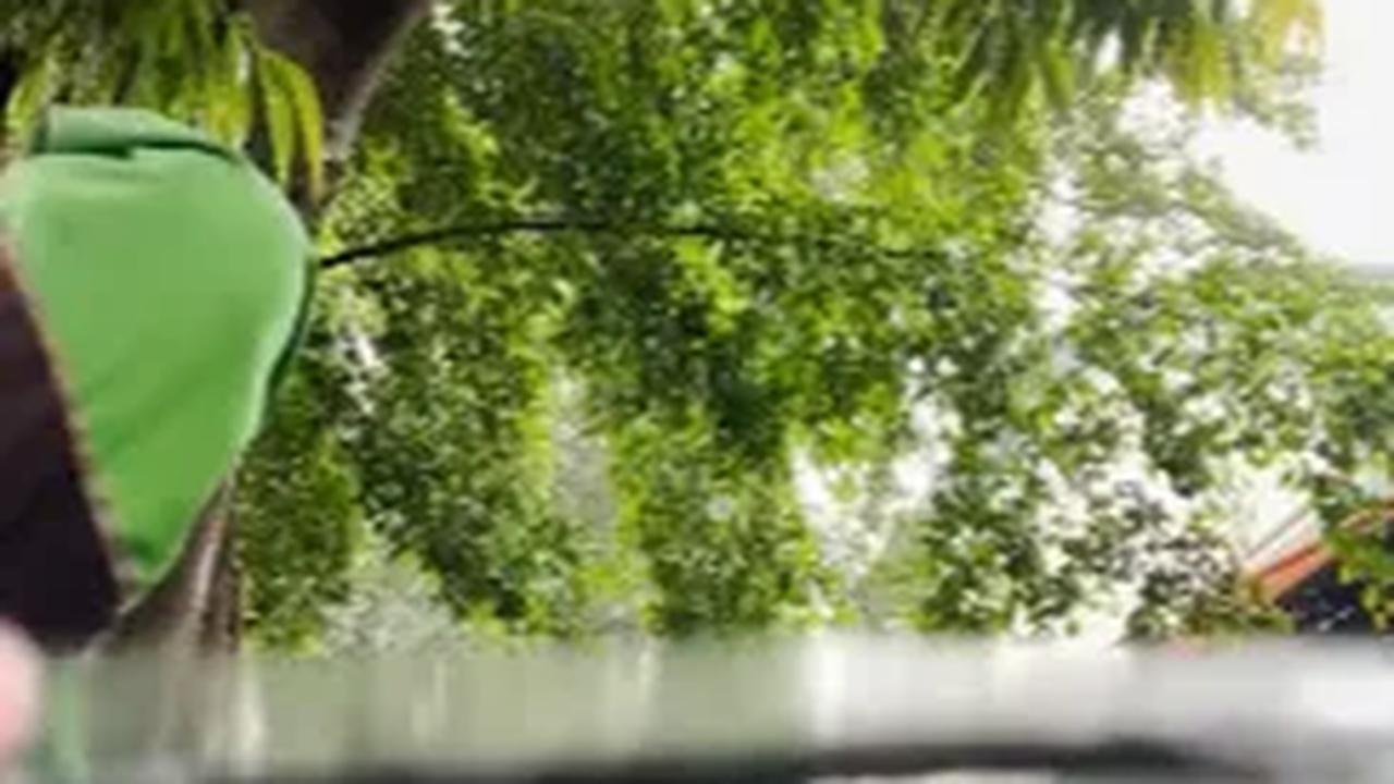 Mendengar pernyataan tersebut, driver ojol ini merasakan haru. Ia lantas membuka kotak makan tersebut berniat menemani wanita itu makan siang bersama. <br>