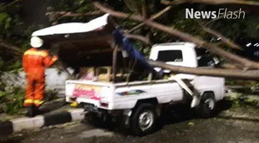 Pohon tumbang menimpa mobil pedagang tahu bulat di jalan Danau Sunter Selatan, Tanjung Priok, Jakarta Utara. Hujan deras disertai angin kencang diduga jadi penyebabnya. 