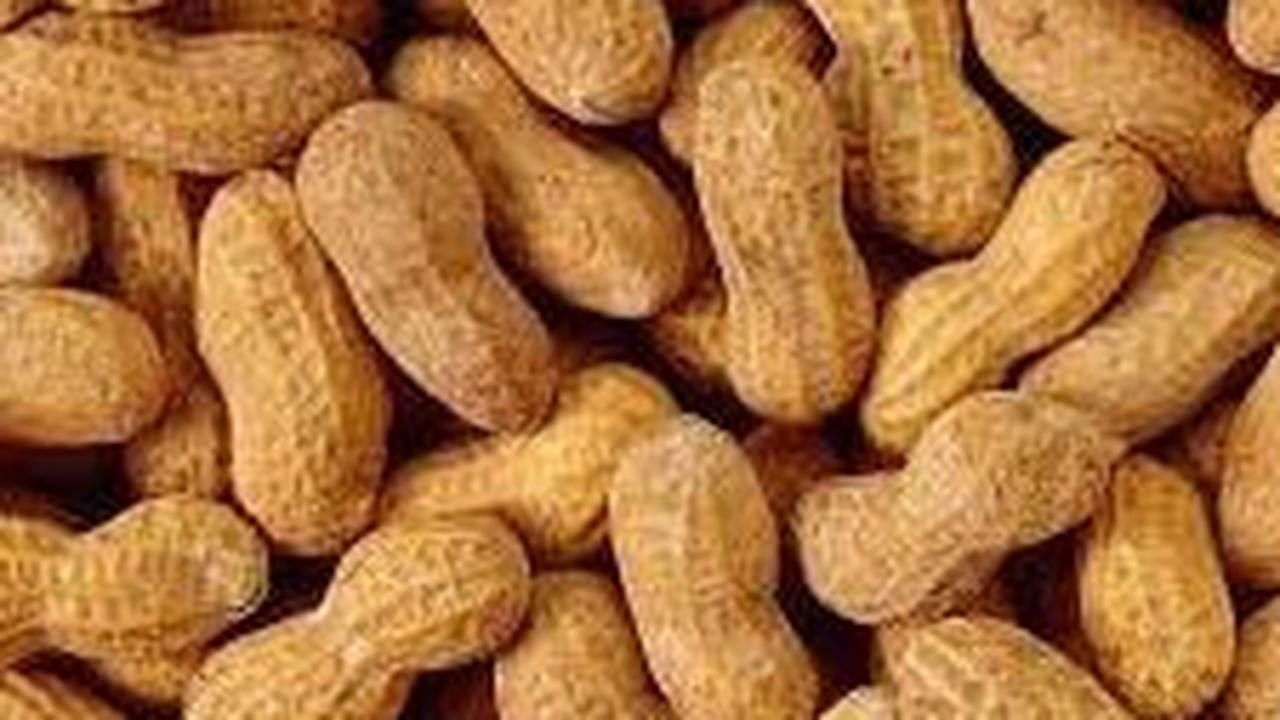 Kandungan di dalam Kacang Tanah