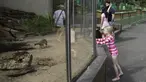 Sejumlah orang mengunjungi Kebun Binatang Taronga di tengah pandemi COVID-19, Sydney, Australia, 3 September 2020. Beberapa kebun binatang dan taman margasatwa di Sydney sudah kembali dibuka untuk umum. (Xinhua/Hu Jingchen)