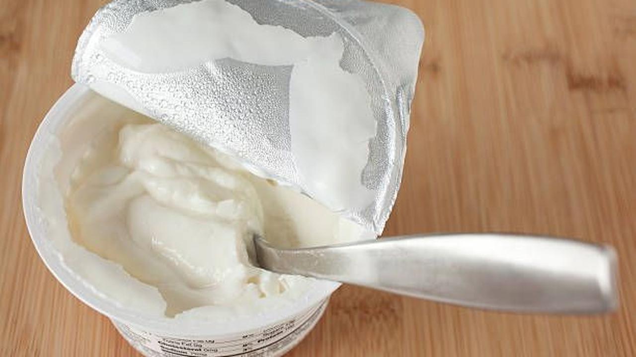 - Utamakan Manfaat Yogurt untuk Lambung dengan Probiotik