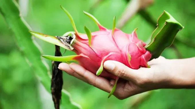 Photo: Copyright Thinkstockphotos.com