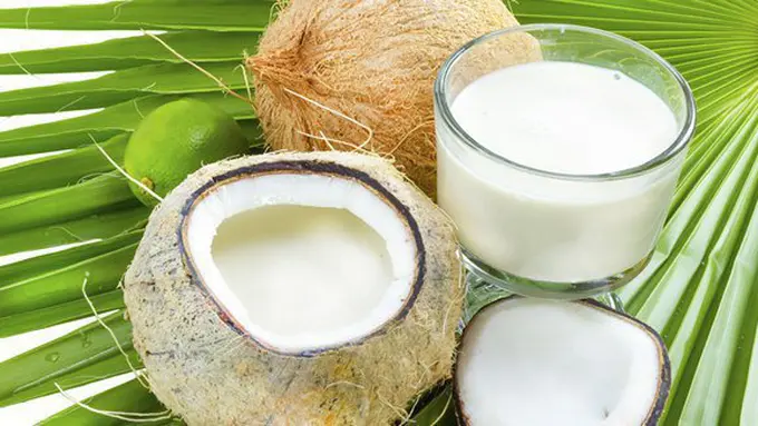 Santan, bahan makanan lezat/copyright: thinkstockphotos.com