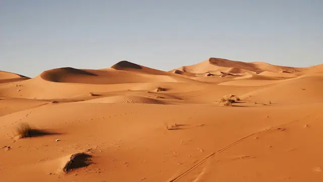 Sahara