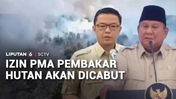 Perusahaan Asing Terancam Kehilangan Izin Jika Terbukti Bakar Hutan