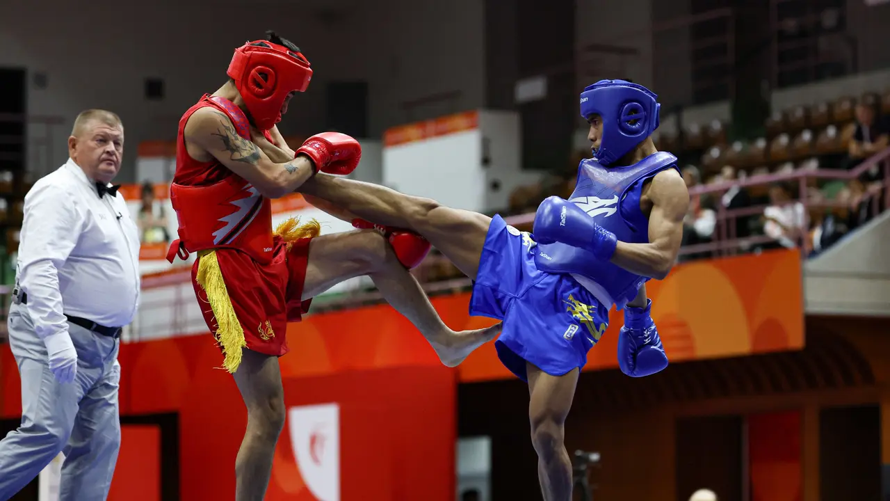 Atlet wushu nomor sanda Indonesia, Fereddy Sinaga