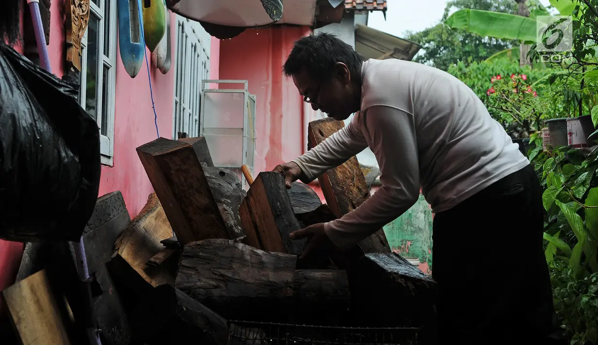 Perajin Oman Sumarna memilah kayu untuk membuat patung di Sanggar Primitif, Sawangan, Depok, Rabu (9/1). Sanggar kerajinan pahatan kayu tradisional itu mengambil tema-tema primitif untuk melestarikan budaya Indonesia. (Liputan6.com/Herman Zakharia)