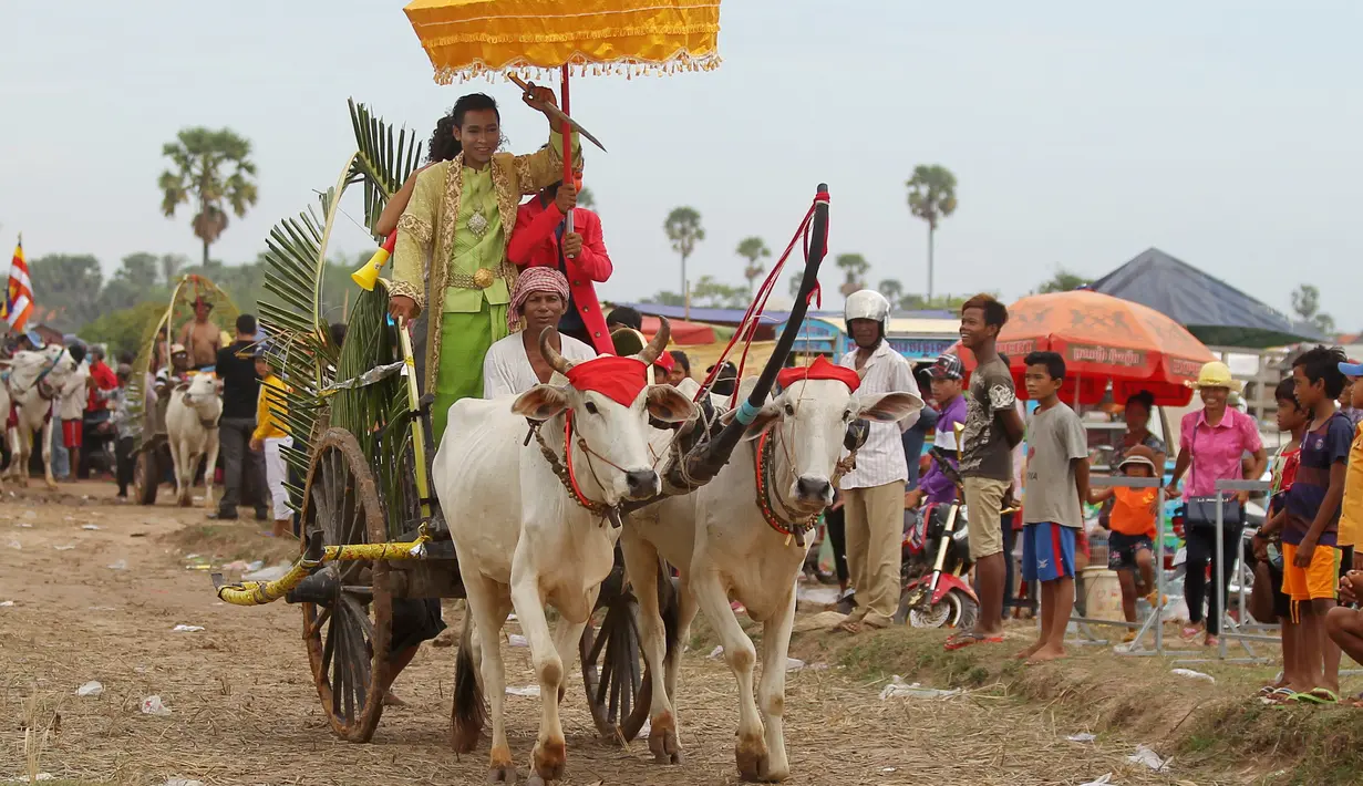 Sebuah gerobak sapi mengambil bagian dalam "Lok Ta Pring Ka-Ek" festival keagamaan tahunan di pinggiran Phnom Penh, Kamboja, (9/6/2016). Festival ini untuk mendoakan keberuntungan dan hujan untuk menyuburkan sawah warga. (REUTERS/Samrang Pring) 