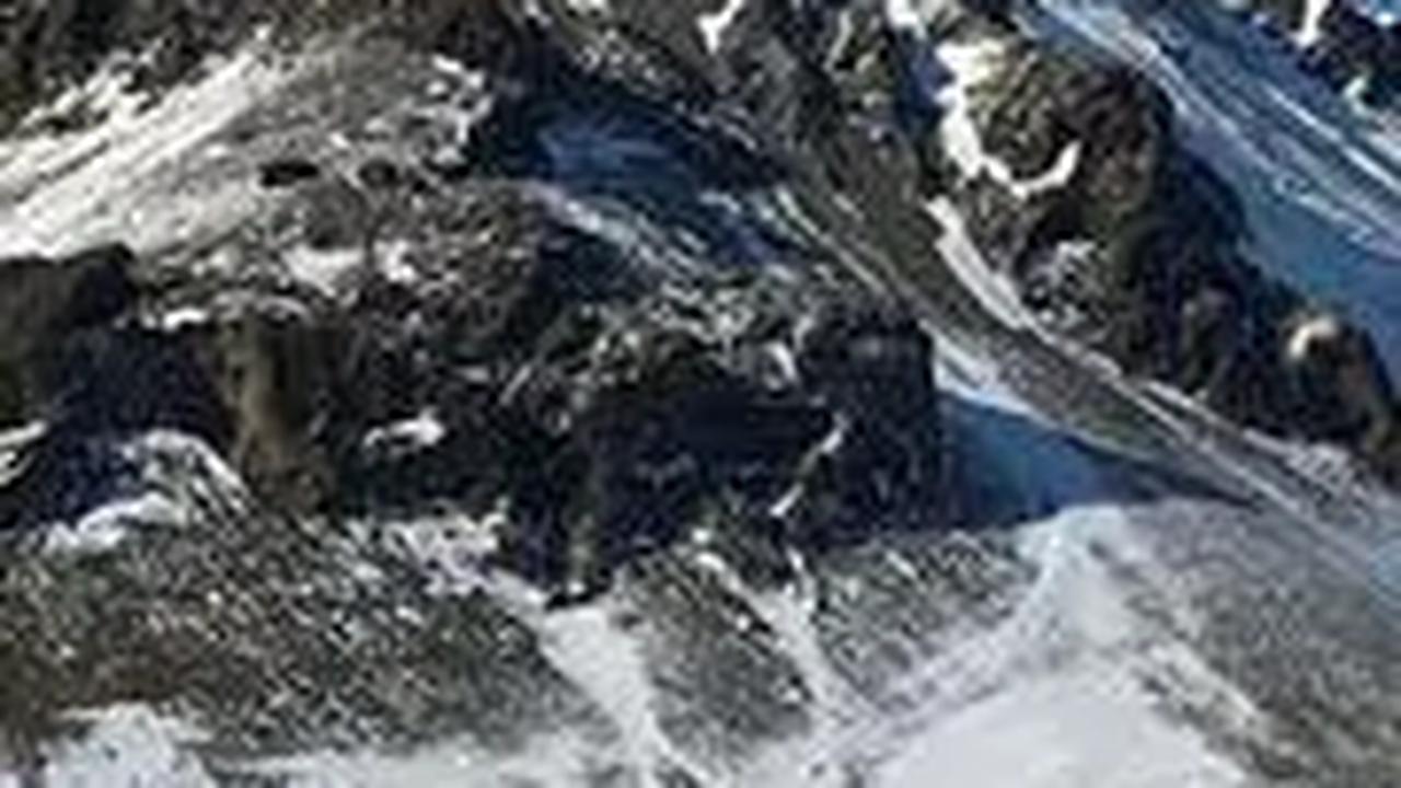 Tapi gangguan itu tidak ditemukan ditemukan di Islandia.  Terdapat dua alasan mengenai mengapa tidak ada nyamuk hidup di negara skandinavia ini.